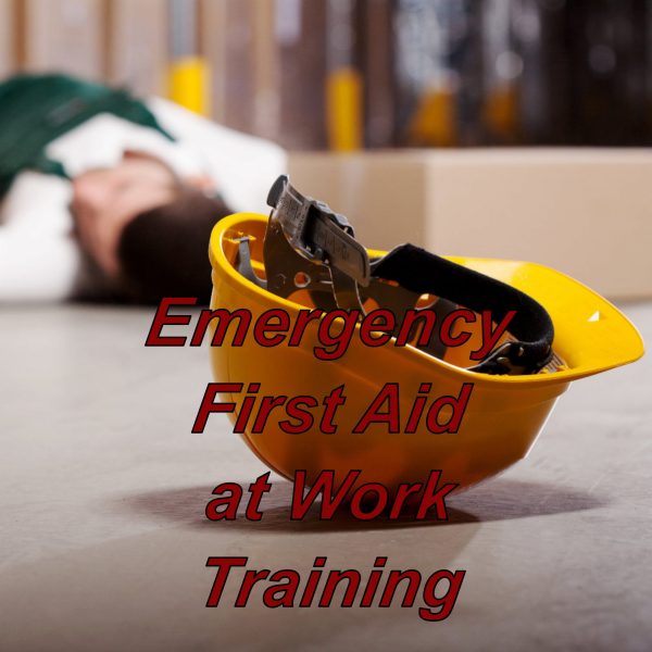 Emergency first aid at work course, online training programme